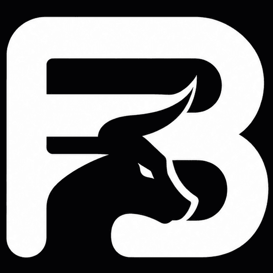 FundinBulls